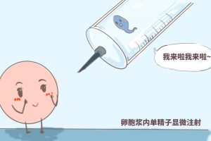 2025柬埔寨试管婴儿费用